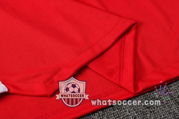 Bayern Munich Training T-Shirts + Pants Red 2021-2022