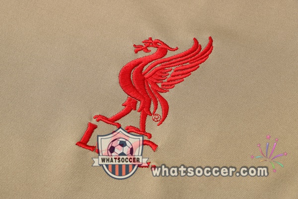 FC Liverpool Training T-Shirts + Pants Yellow 2021-2022