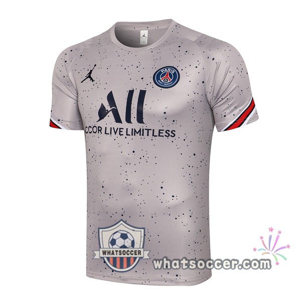 Paris PSG Jordan Gray Training T-Shirts 2021-2022