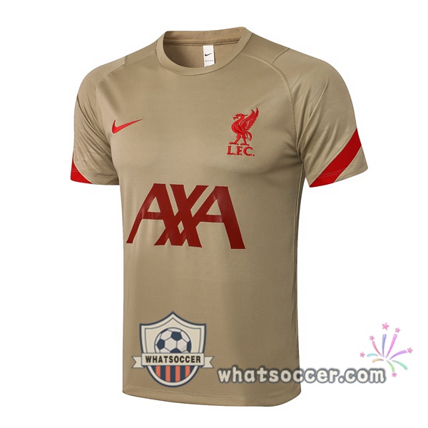 FC Liverpool Yellow Training T-Shirts 2021-2022