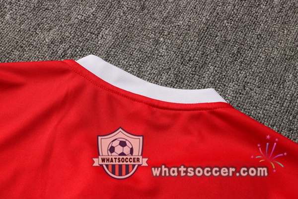 Training Polo Bayern Munich + Pants Red 2021-2022