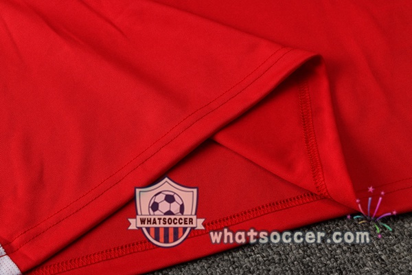 Training Polo Bayern Munich + Pants Red 2021-2022