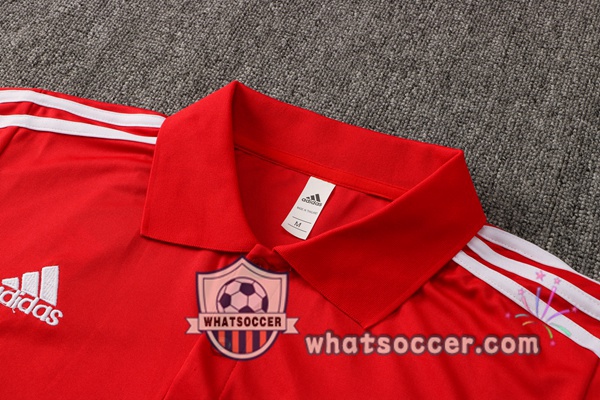 Training Polo Bayern Munich + Pants Red 2021-2022