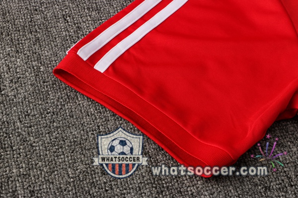 Training Polo Bayern Munich + Pants Red 2021-2022