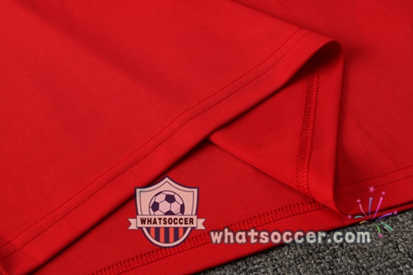 Training Polo Bayern Munich + Pants Red 2021-2022